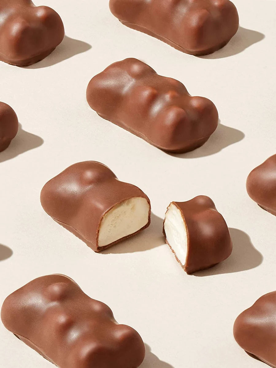 CEMOI Boîte cadeau Petit Ourson Guimauve de Noël, chocolat au lait (304g)
