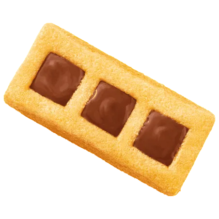 Gâteaux Doomino chocolat noisette ST MICHEL 180g