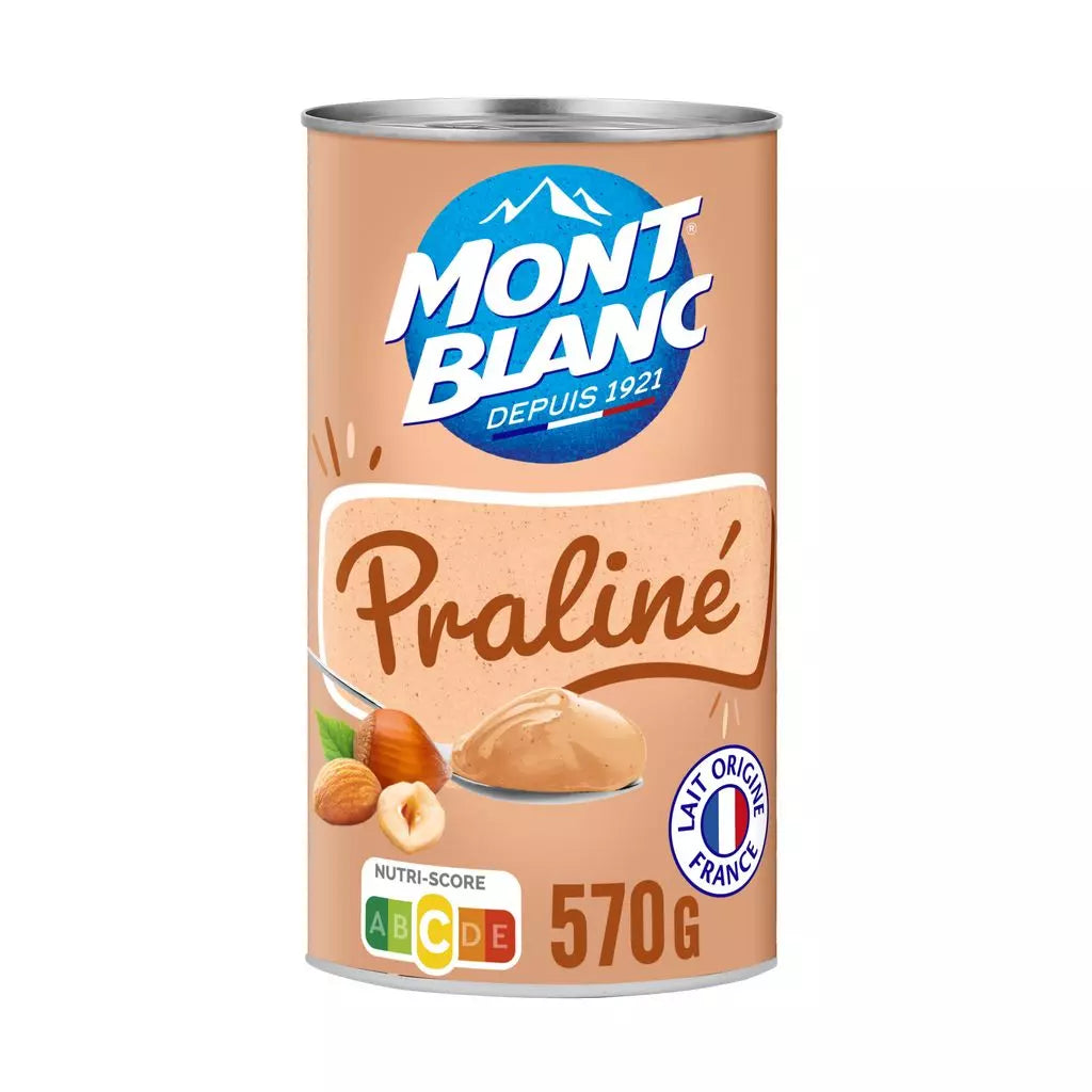 Crème dessert au praliné MONT BLANC 570g