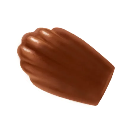 Madeleines ST MICHEL cobertas com chocolate ao leite 350g